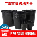 营养杯育苗杯一次性黑色营养袋育苗袋大号播种植塑料育苗盆营养钵 13*15厘米【结实耐用 【5O个】加厚耐用丨半价抢