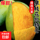 【大青皮芒】攀枝花凯特芒 带箱9斤300g