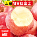 正宗烟台苹果栖霞红富士脆甜新鲜水果整箱生鲜苹果水果 净重4.5斤80mm