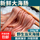 新鲜厚皮海肠 鲜活速冻沙虫海捕海肠皮海肠捞饭海鲜水产商用1000g 2袋厚皮海肠【400g】