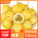 黄金钦蜜九号百香果 甜口 皱皮更甜不影响食用安心 新鲜水果 10粒（30-45g）