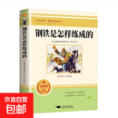 【人教版推荐】傅雷家书 钢铁是怎样炼成的 初中生七八九年级课外阅读名著原著正版完整版名师导读精编版快乐读书吧 【单本】钢铁是怎样练成的