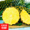 海南金钻凤梨新鲜水果生鲜手撕凤梨台农17号青皮黑金凤梨 非菠萝 【小果】1粒：尝鲜装 单果400g+