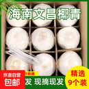 海南文昌椰青当季孕妇去皮椰子新鲜生鲜整箱水果天然 单果800g+ 【9个】海南新鲜去皮椰青
