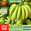 广西新鲜高山香蕉青果自然熟高山薄皮新鲜采摘纯天然软糯香甜 高山香蕉9斤