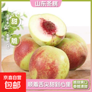山东冬桃脆甜毛桃蜜桃雪桃水果冬桃桃子脆甜多汁新鲜冬桃-沐真 带箱9斤