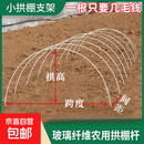 厂家直销拱棚支架玻璃纤维搭棚纤维杆花棚防虫秧苗蔬菜弓子玻璃纤 20根 5MM直径2米长