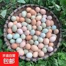 正宗农家鲜鸡蛋虫草蛋新鲜绿壳乌鸡蛋混合装儿童孕妇整箱批发 40枚【32枚虫草蛋+8枚乌鸡蛋】