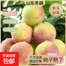 正宗山东新鲜冬桃脆甜桃子现摘毛桃脆桃脆甜多汁孕妇水果-骐鲜园 冬桃 带箱9斤