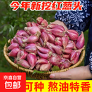 红葱头种四季小香葱种子新鲜葱头花盆栽红葱头种四季香葱种子葱头 精选红葱头1斤装【约75瓣】粗度1-2厘米