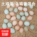 农家鲜鸡蛋虫草蛋新鲜绿壳乌鸡蛋混合装儿童孕妇批发整箱 30枚【24枚虫草蛋+6枚乌鸡蛋】