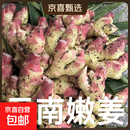 云南小黄姜新鲜嫩姜嫩姜芽现挖红芽仔姜当季新鲜小黄姜 3斤带箱