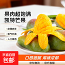 【新鲜上市】正宗攀枝花凯特芒果新鲜水果 带箱2斤400g+（1-2个）