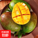 【新鲜上市】正宗攀枝花凯特芒果新鲜水果 带箱6斤【单果400g以上】