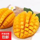 正宗玉芒芒果 肉厚甜心芒热带当季新鲜水果整箱 带箱2斤单果300g+