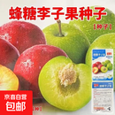 【亏本冲量】蜂糖李子种子耐寒新品种混色盆栽地栽南北种植多年生 蜂糖李子果种子 5包约25粒