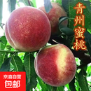 正宗青州蜜桃冬桃脆甜新鲜甜脆多汁青皮当季毛桃子新鲜现货水果昕 带箱5斤