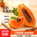 红心牛奶木瓜冰糖心木瓜新鲜水果现摘现发 9斤单果500g+