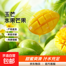 【双十一热卖】玉芒水果芒果新鲜上市 带箱6斤【单果200g以上】