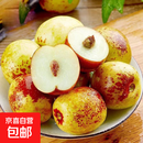 冰糖冬枣新鲜水果大枣特大脆甜冬枣青枣应孕妇水果【多仓发货】 【活动合单发货】带箱1斤 12-16g