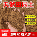 田园土泥土普通黄土壤通用型纯天然泥巴土种菜土种花土阳台营养土 10斤天然绿色纯田园土【已杀虫】