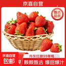 丹东草莓正宗99奶油红颜草莓 当季新鲜水果带箱 【丹东草莓】精品装250g装