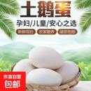 【老农自养土鹅蛋】山林放养 食五谷杂草 保证新鲜 坏蛋包赔 90-110克初生鲜鹅蛋 12枚
