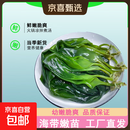 海带嫩苗霞浦海带苗火锅3秒菜凉拌菜海带苗海带嫩苗霞浦特产海产 [头水海带嫩苗]250g*1
