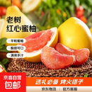 【精品红柚】正宗福建平和琯溪红心蜜柚子菜篮子超甜新鲜水果 红心蜜柚带箱4~5斤（2粒）