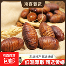 鲜活黄蚕蛹高蛋白营养食材3斤生鲜特色食材 蚕蛹低温处于休眠状态 黄蚕蛹（大黄） 1斤