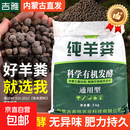 内蒙古羊粪发酵有机肥纯羊粪营养土种菜养花土壤通用型蔬菜肥料 大草原高品质颗粒肥 100斤发酵纯羊粪【内蒙直发】