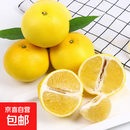 福建黄金葡萄柚应季时令水果好吃新鲜送礼非橘子 黄金葡萄柚带箱4.5斤