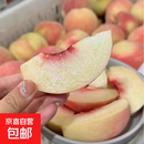 云南大理冬桃现摘甜脆甜毛桃子现摘蜜桃高山鲜桃脆甜孕妇水果HS 新鲜冬桃带箱5斤