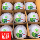 【水果码头】泰国进口香水椰天然椰子椰青大果年货送礼 单果900g+ 泰国进口椰青9粒装送开椰器吸管