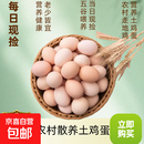 海佑农家散养土鸡蛋柴鸡蛋笨鸡蛋五谷喂养单枚40g-50g 土鸡蛋10枚