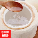 泰国香水椰青新鲜椰子去皮奶香椰青单果900g＋大果 1粒（尝鲜装） 清甜可口，奶香味足