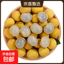 泰国新鲜龙眼新鲜水果应季现摘鲜甜水果去枝纯果整箱包邮 4.5斤装【无枝条 纯果子】