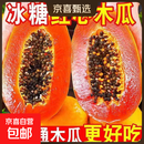 京喜加海南木瓜红心牛奶木瓜树上熟新鲜水果煲汤孕妇 5斤（单果300g+）