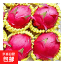 红心火龙果 金都一号广西云南薄皮火龙果应季新鲜水果 单果200g起 6个装（薄皮多汁）
