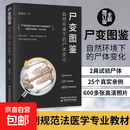 【认准正版】尸变图鉴自然环境下的尸体变化 尸体解剖规范法医学专业书籍教材 尸体变化图鉴尸体会说话遗体解刨分析法医病理学 尸变图鉴 自然环境下的尸体变化【正版全新】