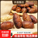 鲜活黄蚕蛹高蛋白营养食材3斤生鲜特色食材 蚕蛹低温处于休眠状态 黄蚕蛹（大黄） 1斤