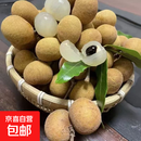 泰国龙眼新鲜爆甜进口水果桂圆当季热带新鲜水果 带盒2斤装
