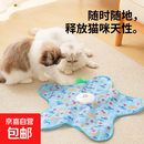 猫咪防猫抓躲藏玩具捕猎罩自嗨解闷逗猫棒宠物玩具旋转游戏 小鱼款【捕猎罩+升级电机+逗猫棒+鸟叫发声】