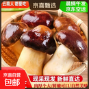 【京东空运】姬松茸新鲜云南菌菇赤松茸食用菌火锅煲汤蘑菇球盖菇 姬松茸净重4斤