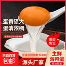 新鲜红树林海鸭蛋正宗广西红树林海鸭蛋蛋黄饱满无腥味60-80克 新鲜红树林海鸭蛋60-80克40枚