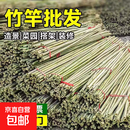 小竹竿菜园搭架豆角黄瓜竹子支架蔬菜爬藤竹杆篱笆栅栏彩旗杆 1.5-2厘米粗2米长 50根【原生耐用】