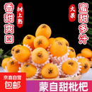 正宗云南蒙自甜枇杷新鲜时令水果冬季上市枇杷自然熟现摘京东直发 超值囤货大果5斤（净重4.5斤+）