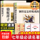 骆驼祥子和钢铁是怎样炼成的七年级必读正版书七年级下册必读的课外书初一7下名著语文书目 骆驼祥子+钢铁是怎样炼成的【配套人教版】