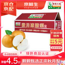 京鲜生 青青大地莱阳羊脂秋月梨 净重4.5斤 6-8粒 生鲜水果 礼盒装