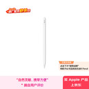 Apple/苹果 Pencil(USB-C) 磁吸触控笔手写笔苹果笔电容笔ipad笔 适用iPad 11/mini/Pro/Air